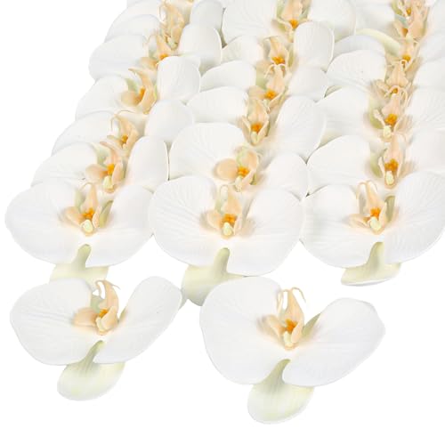 20PCS Real Touch Orchid Artificial Flowers Heads,4.3'' White Fake Butterfly Orchid Heads Latex Phalaenopsis Faux Flowers Bulk for Wedding DIY Crafts Hair Accessories Cakes Home Decor(White) - color: White