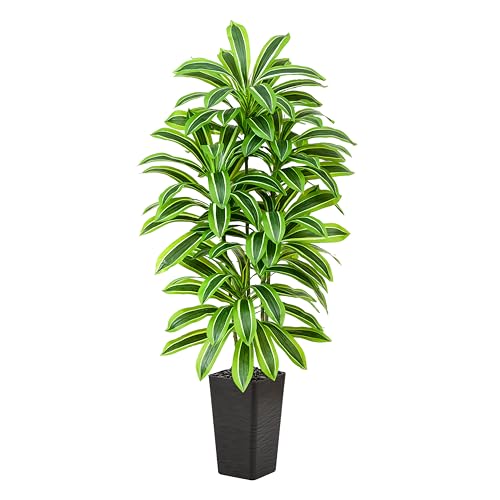 Artificial Dracaena Tree：6FT Faux Silk Tropical Yucca Floor Trees Realistic Fake Green Plant with Natural Wood Trunk & Lifelike Leaves for Home Office Decor Indoor & Outdoor (6FT,1-Pack,Black) - color: Light Green – Black Pot, size: 6FT