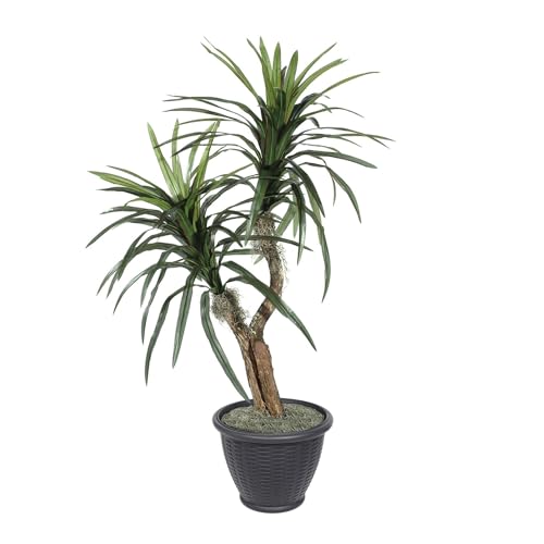 Vickerman 4' Indoor Artificial Marginata Bush, Gray Plastic Container. - color: Dark Green, style: Vickerman Everyday 4' Artificial Marginata Bush in Gray Plastic Container