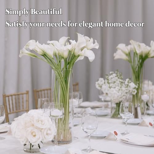 12 Pack Glass Cylinder Vases for Flower 16 Inch Tall Clear Centerpieces Bulk Vase Hurricane Floating Candle Holder for Table Home Decoration Wedding Holiday Floral Shelf Party Dining Decor - size: 16 Inch