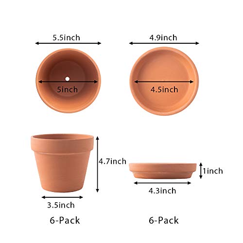 Terra Cotta Pots with Saucer- 6-Pack Large Clay Pots 5.5'' Ceramic Pottery Planter Cactus Flower Succulent Pot with Drainage Hole- Great for Plants,Crafts terra cotta planter - color: Terracotta