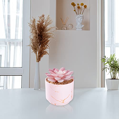 ZENIDA Succulent Artificial Plants,Cute Fake Succulents in 1 Pink Ceramic Pots,Small Fake Plants for Office,Table,Desk,Bathroom, Bedroom,Aesthetic Room Shelves Decor,Desk Decorations for Women Office - color: Pink