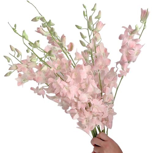 20 pink orchids fresh cut flowers gift birthday anniversary Valentine's Day flowers Dendrobium