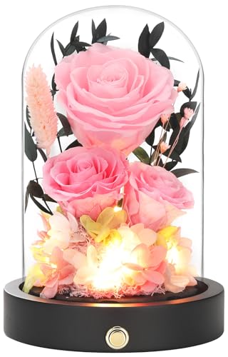 Preserved Flowers in Glass Dome, Forever Flowers for Delivery Prime, Pink Roses Valentines Day Anniversary Mothers Day Birthday Gifts for Her Mom Women Wife Girlfriend - color: New Pink