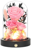 Preserved Flowers in Glass Dome, Forever Flowers for Delivery Prime, Pink Roses Valentines Day Anniversary Mothers Day Birthday Gifts for Her Mom Women Wife Girlfriend - color: New Pink