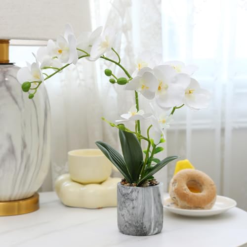 White Fake Orchids Flowers in Pot Bendable Faux Orchids Artificial Flowers Washable Silk Orchid Phalaenopsis Decor for Home Wedding Table Centerpiece Bathroom Office - color: 1 Pot White