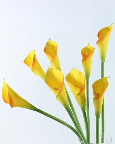 DuHouse 12pcs Calla Lily Artificial Flowers,26" Long Stem Large Calla Lily Flowers,Real Touch Calla Lilies for Party Wedding Bridal Bouquet Home Decor Centerpiece(Yellow-Orange Edge) - color: Yellow-orange Edge