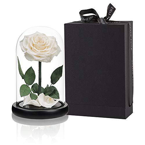 Preserved Roses White Roses Handmade Rose in Glass Dome, Preserved Flowers Never Withered Romantic Gifts for Her, Mother's Day, Birthday Gifts for Women (9 inch) - color: White, size: Large
