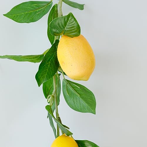 Dallisten 3 Strands Lemon Artificial Vines, 71" Lemon Silk Vine Garland with Green Leaves, Fake Hanging Plants Greenery Decor for Home, Bedroom, Wall, Party, Wedding Decoration - color: Lemon Vine