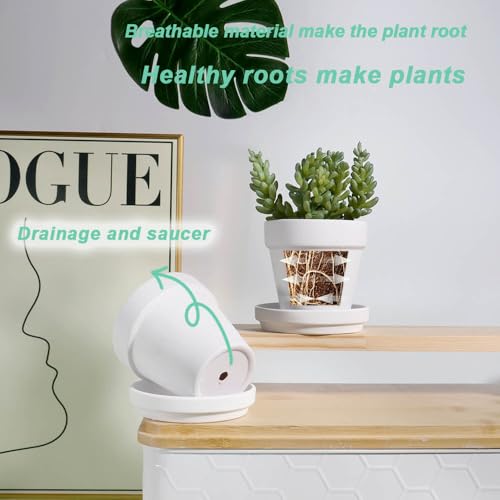 vensovo 3 inch White Terracotta Clay Pots for Plants with Saucer - 12 Pack Small Terra Cotta Planter Great for Garden Windowsill Indoor & Outdoor Wedding Favors Gifts - color: White