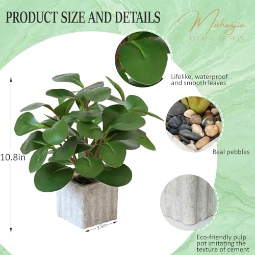 Muhanjia Artificial Potted Plant, Lifelike Faux Greenery in Decorative Cement-Look Square Pot for Indoor Home Decor Centerpieces (Peperomia) - color: Peperomia