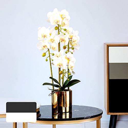 FagusHome Artificial Phalaenopsis Flowers Branches 9 Large Blooms Artificial Orchid Flowers Stem Plants 42 Inches 2 Pcs for Home Wedding Décor (White) - color: White