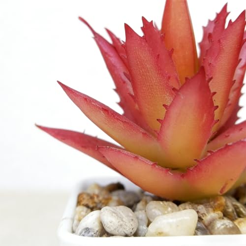 Artificial Succulent Plants in Pot - 1Pcs Small Aloe Vera Red Realistic Fake Potted Succulents for Home Decor, Desk, Office, Bathroom, Windowsill - Indoor Houseplant for Bedroom, Kitchen, Shelf - color: Small Aloe Vera Red