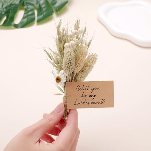 Bridesmaid Proposal Bouquet Gift from Bride, Mini Natural Dried Flower Decor for Engagement Bachelorette Bridal Party, Natural Oat & Wildflower Hand-Tied Arrangement Rustic Wedding Keepsake - style: oat