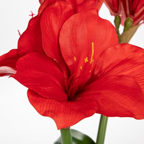 Briful Red Amaryllis Artificial Flowers in Blue Ceramic Pot 18.1" Faux Amaryllis Flower Arrangement with Decorative Bulbs Moss for Home Office Bathroom Table Shelf Décor - color: Red, size: Blue and White Ceramic Pot