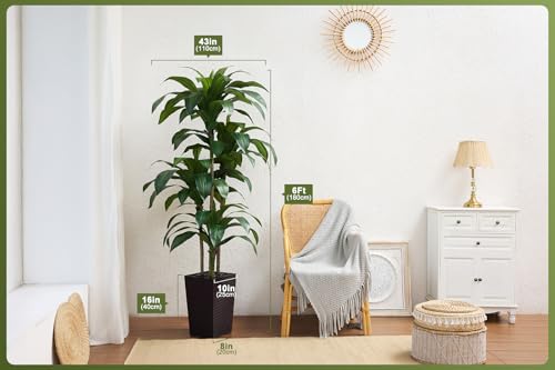 VeriNatural 6FT Artificial Dracaena Tree - UV Resistant Faux Tropical Plant, Potted Fake Tree with Taper Planter & Pebbles - Indoor Outdoor Greenery for Home, Porch, Living Room, Bedroom Decor, VN127 - color: Espresso Brown, size: 6ft