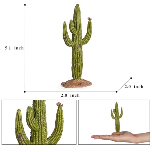 EOIVSH Desert Animal Figurines Set with Model Cactus - Artificial Greenery Plant Fake Cacti - Desert Diorama Project - Great for Sand Table Landscape Scene Accessories Decoration - style: Cacti
