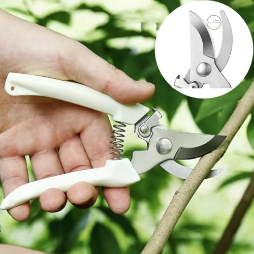 Floral Tool Kit, Rose Thorn Stripper Tool Garden Pruning Shears Scissors Kit, Glove for Floral Making Supplies,Use for Florist Supplies - color: Green
