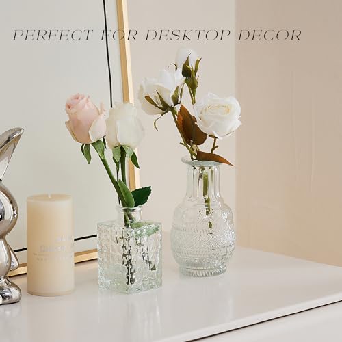 Glass Bud Vase Set of 24, Small Flower Vases, Glass Vases for Centerpieces, Vintage Home Table Decorations Bud Vases (24 Pcs, Clear) - color: Clear, size: 24 Pcs