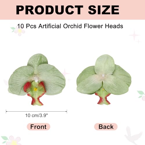 uxcell 10 Pcs Artificial Orchid Flower Heads, Fake Butterfly Orchid Heads Bulk Artificial Flowers for DIY Wedding Bouquets Centerpieces Party Home Decorations, Green - color: Green