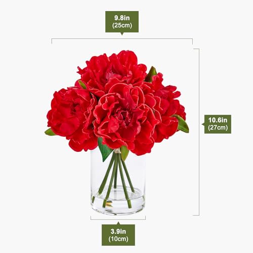 VeriNatural Artificial Red Peony Flowers with Vase – 10.6" Fake Silk Floral Arrangements in Glass Vase with Faux Water for Home Decor, Bathroom Shelf, Centerpiece, Wedding, Gift - color: Red