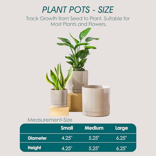 vancasso Ceramic Planters, Plant Pots for Indoor Plants, 6.25+8.25+10.25 Inch Ceramic Pots for Plants, Flower Pots with Drainage Holes (Gray, 6.25+8.25+10.25 Inch) - color: Gray, size: 6.25 + 8.25 + 10.25 Inch