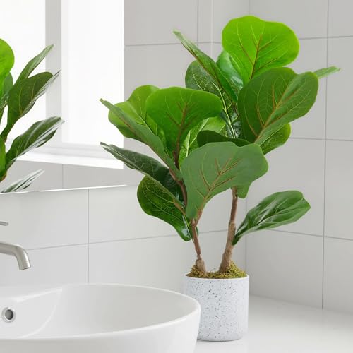 Artificial Fiddle Leaf Fig Tree in Pot 2 Sets, 15.7" Faux Ficus Lyrata Plant Green Bonsai in White Planter, Indoor Decorative Fake Tree for Home Office Desk Living Room, Modern Room Decor - size: 15.7 inches