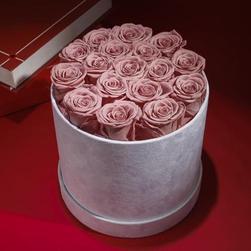 Prifroti 17 Flowers in a Luxury Suede Box, Birthday Gifts for Women, Preserved Flowers, Mothers Day Roses Gift for Mom, Dusty Rose - color: Dusty Rose, size: 17 Roses