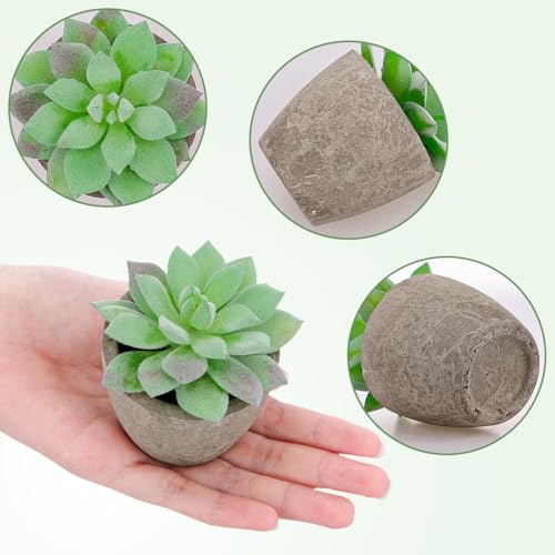 Woration 6pcs Artificial Succulents Plants Potted Assorted Decorative Faux Fake Small Green Succulent with Pot Table Shelf Windowsill Indoor Greenery Decor - color: 6 Pack 6 Style