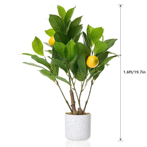 2Pcs 19.7" Artificial Lemon Trees with White Pot, Faux Small Citrus Fake Plants with Vivid Leaves and Realistic Lemons for Indoor Home Office Shelf Decor, Home Accent Gift - size: 4 x 4 x 15.8 inches