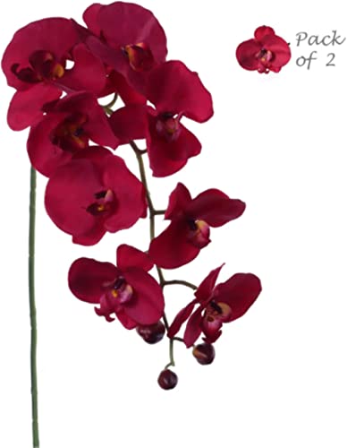 Larksilk 33.5" Premium Silk Phalaenopsis Orchid Stem - Stunningly Realistic & Long-Lasting Artificial Flowers - Ideal for Home Decor, Events, Weddings - Elegant Touch for Arrangements and Centerpieces