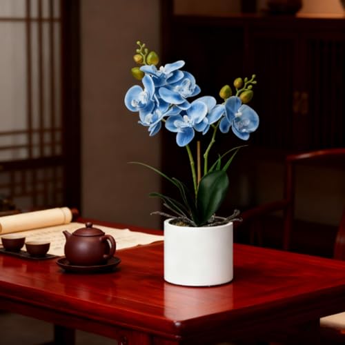 Jusdreen Artificial Blue Orchid in Ceramic Pot, Realistic Phalaenopsis Arrangement with Potting for Home Office Table Decor, 14.5 Inch Flower Centerpiece - color: Z/Ceramic-blue