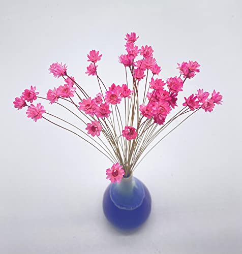 100 Stems Natural Dry Flowers Brazilian Small Star Daisy Decorative Dried Flowers Mini Daisy Chamomile Bouquet for Wedding Floral Arrangements Home Decorations (Pink) - color: Pink