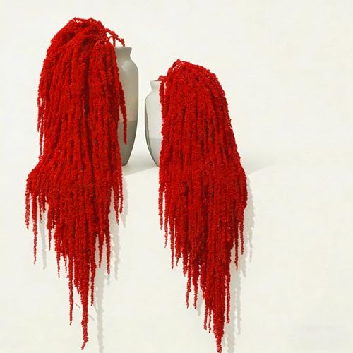5Pcs Dried Amaranthus Hanging Flowers, 53" Neon Green Preserved Natural Wisteria for Wedding Arch, Table Centerpiece, Wall Hanging Lover Tears, Floral Arrangement (Deep Red) - color: Deep Red