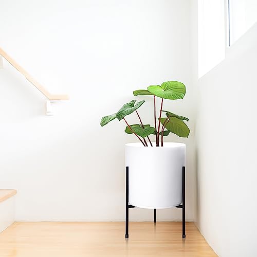 D'vine Dev Modern White Plants Pot Cylinder Planter with Heavy Duty Stand, Medium 10 Inch Pot, 16.3 Inch with Stand Height, 96-T-A-2 - color: White, size: Medium 10 Inch