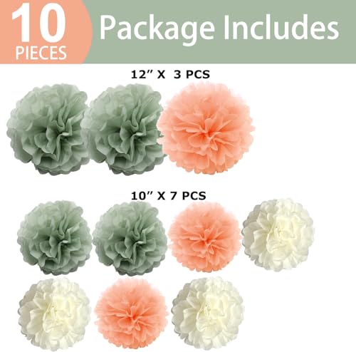 10-Pack Peach Champagne Sage Green Cream Party Decorations Hanging Tissue Paper Flowers Pom Poms Backdrop for Blush Wedding Bridal Shower Birthday