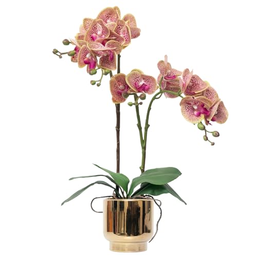 CXGS Orchids Artificial Flowers Real Touch Fake Flowers in Ceramic Pot 20" Purple Dapple Faux Orchid Plant Lifelike Silk Phalaenopsis for Centerpiece Hotel Home Indoor Decor - color: Purple Dapple- Gold Vase