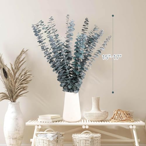 16 Pcs Dried Eucalyptus Stems, 17'' Natural Fresh Eucalyptus Leaves Branches Hanging for Shower, Preserved Real Blue Plant Live for Home SPA Wall Bathroom Wedding Party Vase Decor - color: Blue