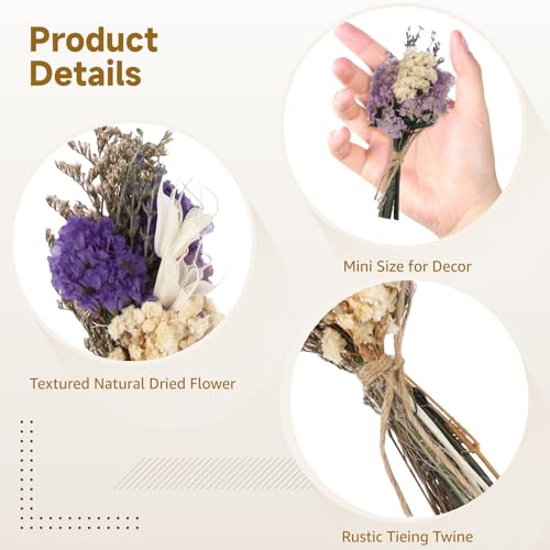 12 Pcs Mini Dried Boho Flower Bouquets - Bohemian Wedding Boutonniere Decors, Rustic Floral Arrangements, Small Natural Dried Flowers for Crafts, Vases, Handcrafted with Jute Twine