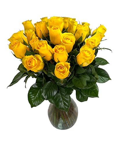 25 Yellow Roses | Arabella Bouquets | Real Fresh Flowers for Delivery, Gift for Birthday Women, Congratulations, Anniversary, Thank You, Mother's Day - color: Yellow, size: 25 Stems