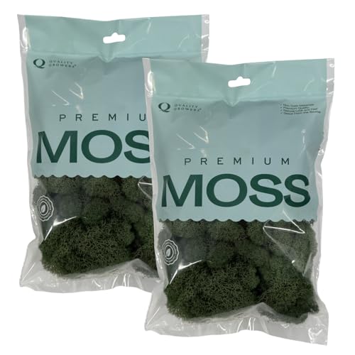 Quality Growers - Preserved Reindeer Moss - Moss for Crafts, Home Decor, Art, Design & DIY Projects - Non-Toxic - USA Made (Basil, Medium, 2-Pack) - color: Basil, size: Medium (2-Pack)