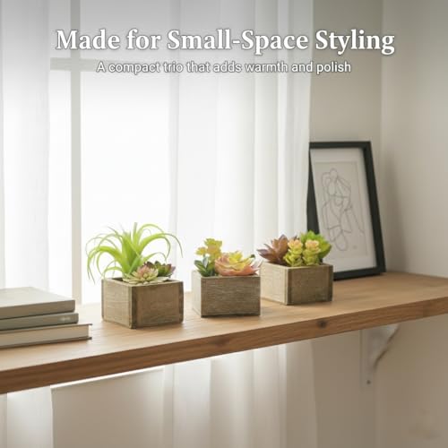 Artificial Succulents Indoor, Set of 3 Mini Potted Greenery in Rustic Wood Planters, Tabletop Accent for Office, Bathroom Shelf, Home Decor - color: Organic