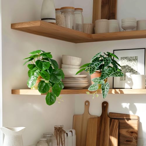 2 Pack Fake Pothos Plants Artificial Small Potted Plant Faux Plants Realistic Modern Silk Greenery Indoor Decor for Shelf Desk Home Bathroom Farmhouse Living Room Coffee Table (Green-Type 2) - color: Green-type 2