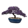 Artificial Bonsai Tree Juniper Faux Plants Indoor Fake Plants Decor with Blue Ceramic Pots for Home Table Office Desk Bathroom Shelf Bedroom Living Room Farmhouse Decorations - style: 9" Purple Ficus