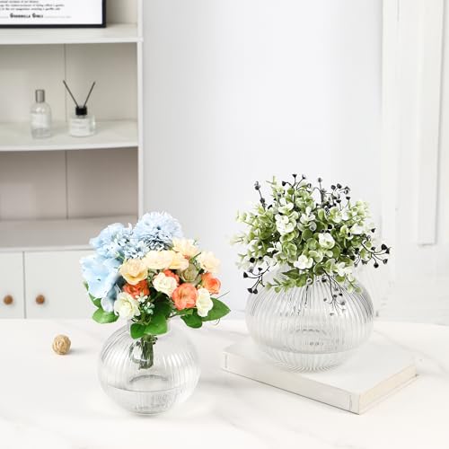 Round Glass Vases Set of 2, Flower Vases for Bouquet, Ribbed Glass Vase for Flowers, Small Clear Vase for Living Room, Office, Coffee Table, Shelf, Wedding - color: Clear, size: Round+Medium
