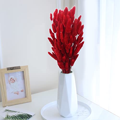 CISDUEO 120pcs Dried Bunny Tails Flowers Red Lagurus Ovatus Tail Dried Flowers Pampas Grass Natural Dried Floral Arrangement for Boho Decor Home Wedding DIY Farmhouse Table Christmas Halloween (17") - color: Red