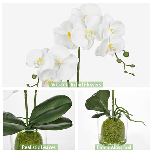 White Orchids Artificial Flowers 16.1" Faux Orchids Plant in Pot Fake Flower Arrangements with Glass Vases Small White Centerpieces for Kitchen Dining Room Tables Bathroom Nightstand Shelf Desk Decor - color: White Orchid & Green Moss Grass