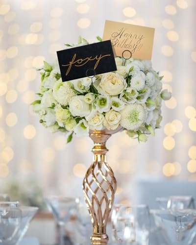 Avsty 30Pcs Floral Card Holder Picks-Wire Place Card Holder for Wedding-Metal Photo Picture Clip Holder-Table Name Number Holder,Memo Note Holder for Flower Arrangement,Wedding,Party(Black, Round) - color: Black, size: Round