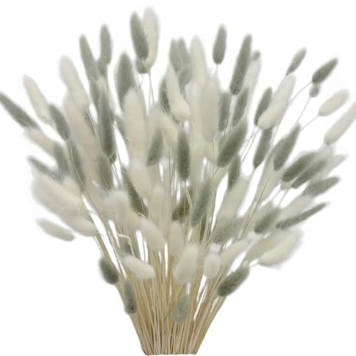 120pcs Dried Bunny Tails Flowers White and Grey Pampas Grass Natural Dried Floral Arrangement Dry Flowers for Christmas Halloween Boho Decor Home Wedding DIY Craft Decoration (16") - color: Grey-white