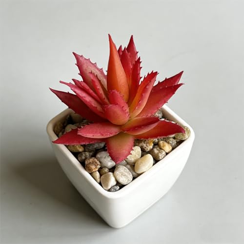 Artificial Succulent Plants in Pot - 1Pcs Small Aloe Vera Red Realistic Fake Potted Succulents for Home Decor, Desk, Office, Bathroom, Windowsill - Indoor Houseplant for Bedroom, Kitchen, Shelf - color: Small Aloe Vera Red